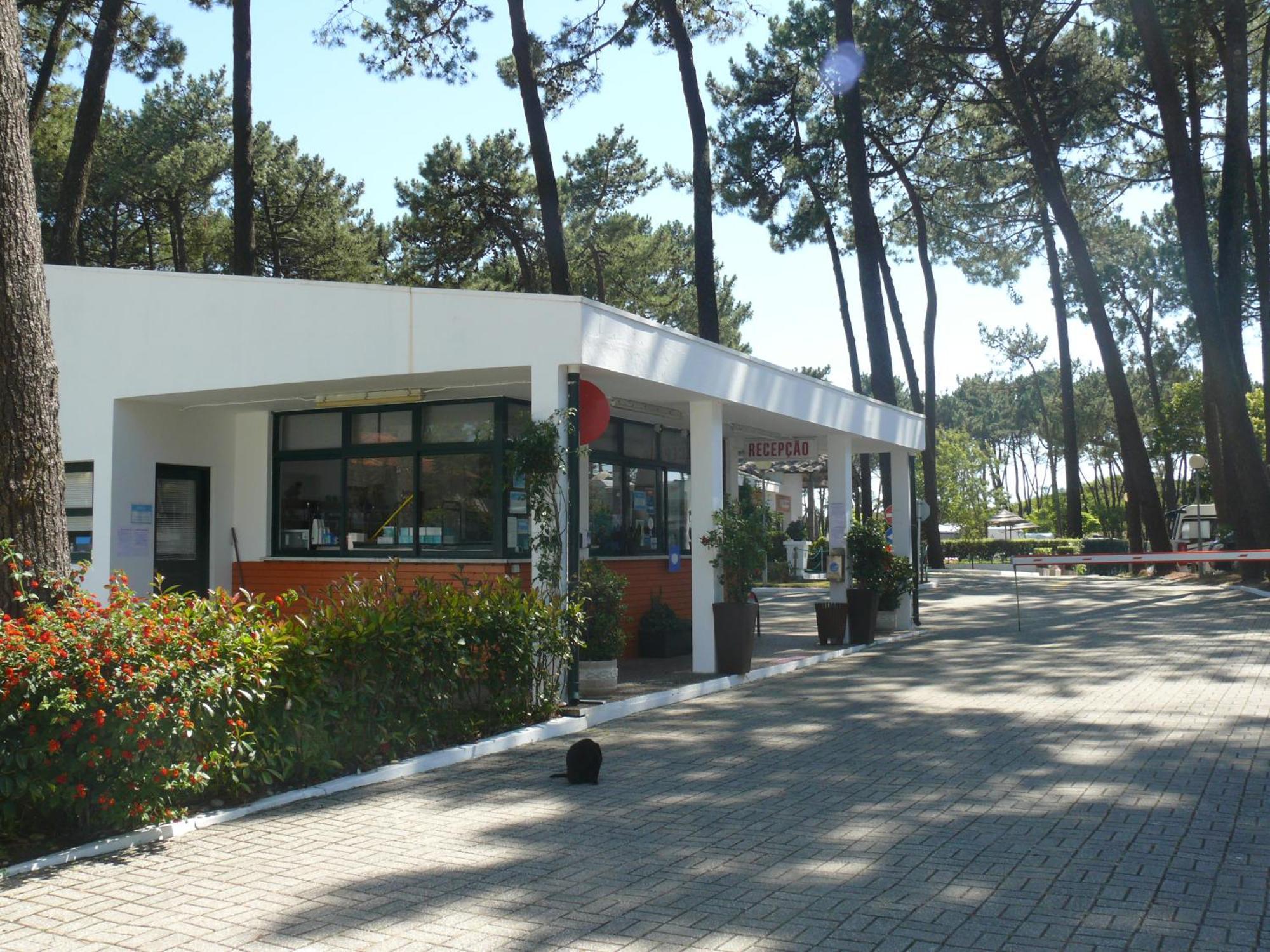 Hotel Parque De Campismo Orbitur Viana Do Castelo Exterior foto